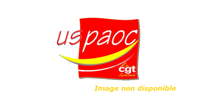 provisoire Image indisponible